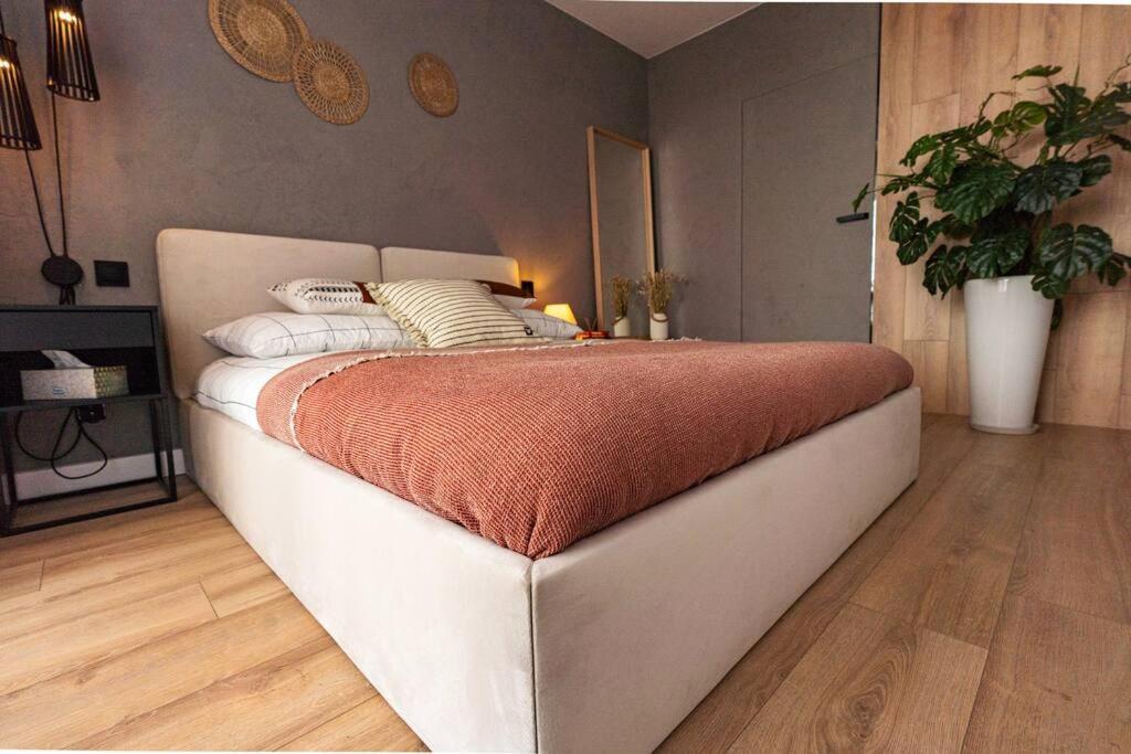 Apartament Na Grabiszynskiej วรอตซวาฟ ภายนอก รูปภาพ